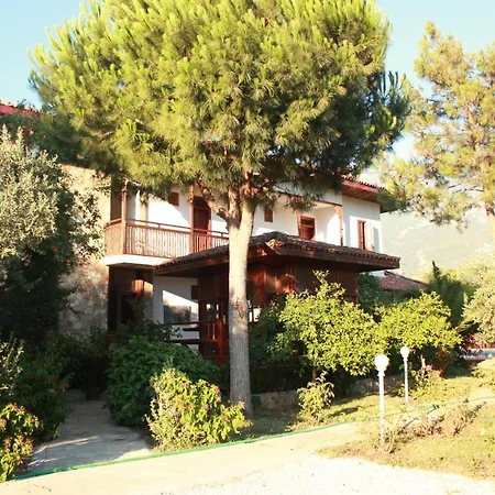Hotel Elze 4*