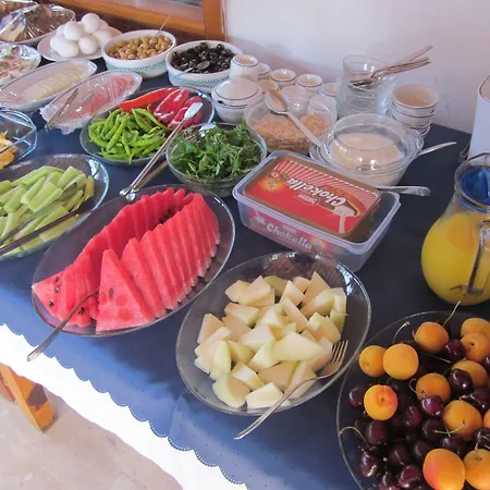 호텔 엘제 올루데니스