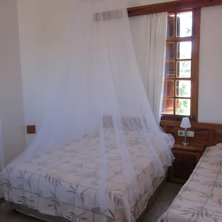 Elze Hotel 4*