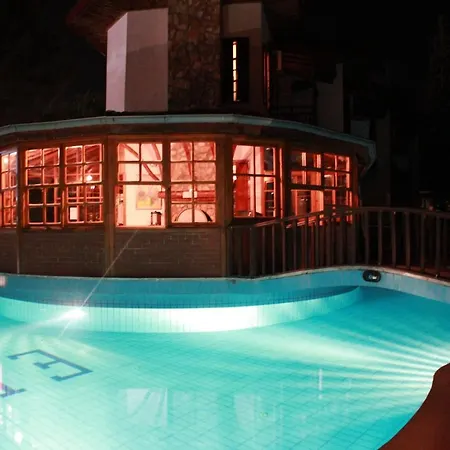 엘제 올루데니스