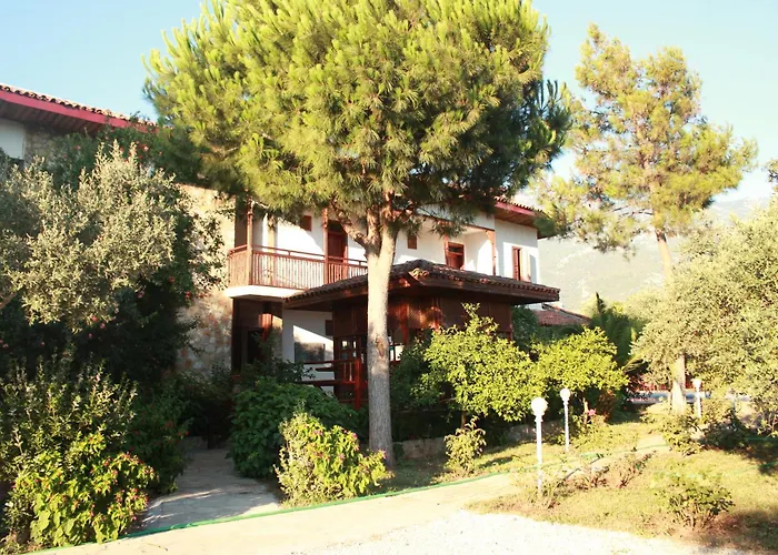 Hotel Elze 4*
